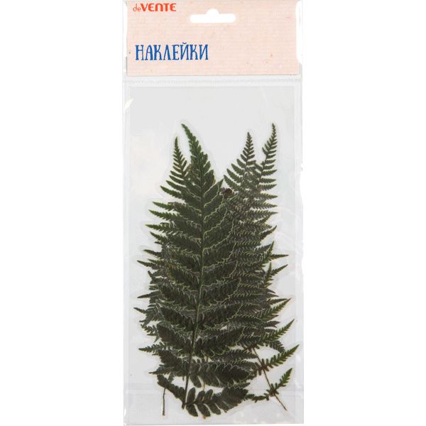 Наклейки для творчества, 6 шт., ПЭТ-пленка, deVENTE Гербарий_Листья папоротника