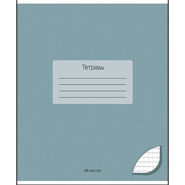 Тетрадь А5, клетка, 48 л., на скобе, 60 г/м², вд лак, КТС-ПРО Однотонная_Серая