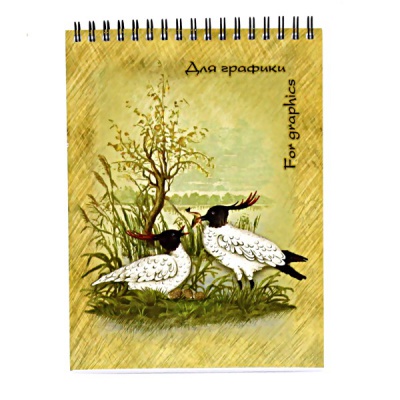 Блокнот для графики и черчения А5/200/20 л., цвет: белый, PALAZZO Premium (Чибисы), на гребне,Акция!