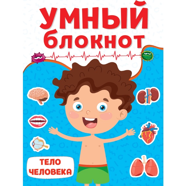 Блокнот развивающий. Умный блокнот_Тело человека, изд. Prof-Press   Акция