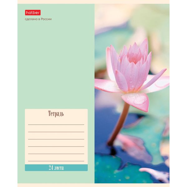 Тетрадь 24 л., линия, 65 г/м2, обл. мел. картон, Hatber Flowers_ассорти 5 дизайнов Тетрадь 24 л., линия, 65 г/м2, обл. мел. картон, Hatber Flowers_ассорти 5 дизайнов