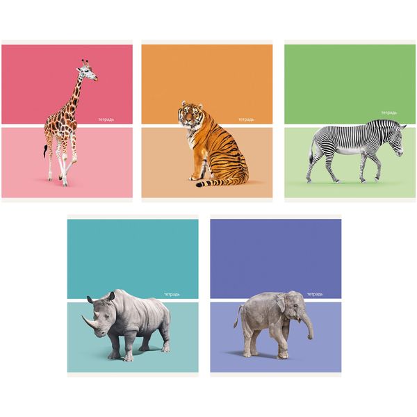 Тетрадь 48 л., клетка, 60 г/м², обл. мел. картон, Listoff Wild animals_5 дизайнов Тетрадь 48 л., клетка, 60 г/м², обл. мел. картон, Listoff Wild animals_5 дизайнов