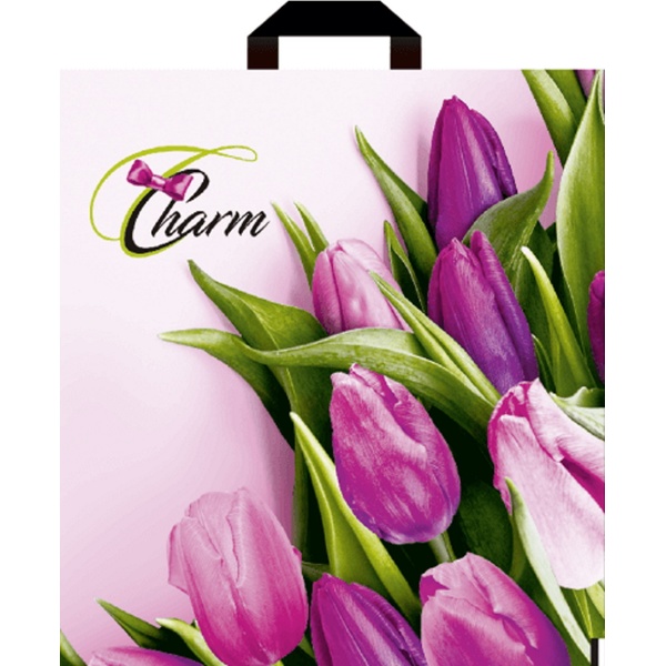 Пакет с петлевой ручкой, 40*38 см, полиэтилен 40 мкм, Шарм