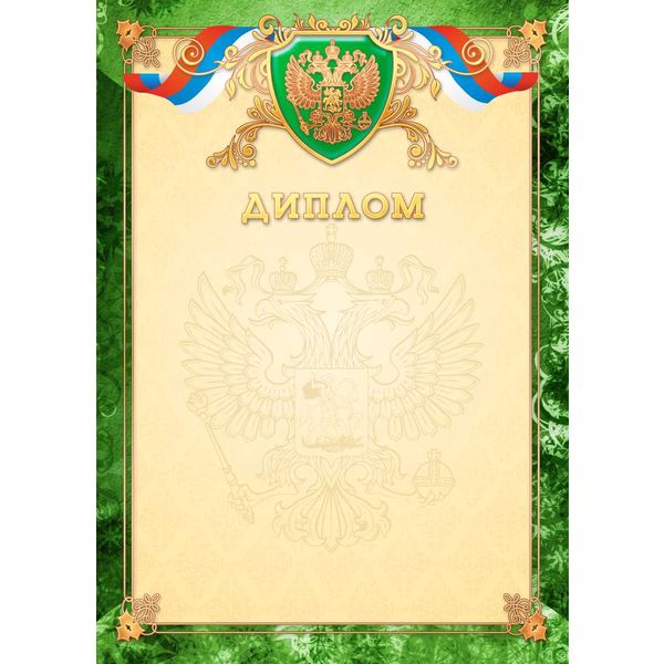 Диплом с госсимволикой, А4, мел. бумага 200 г/м², тисн. фольгой (Премиум) Акция!