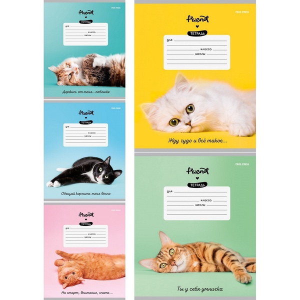 Тетрадь А5, косая линия, 12 л., на скобе, 60 г/м², мел. бум., Prof-Press Котик и фразы_5 дизайнов Тетрадь А5, косая линия, 12 л., на скобе, 60 г/м², мел. бум., Prof-Press Котик и фразы_5 дизайнов