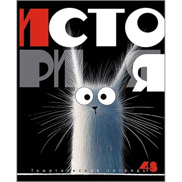 Тетрадь предметная А5, 48 л., клетка, 60 г/м², КТС-ПРО Заряженные пушистики_История