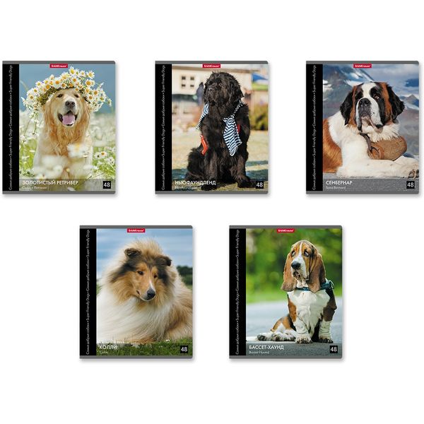 Тетрадь А5, клетка, 48 л., на скобе, 60 г/м², ErichKrause Энциклопедия_Самые добрые собаки_5 дизайнов