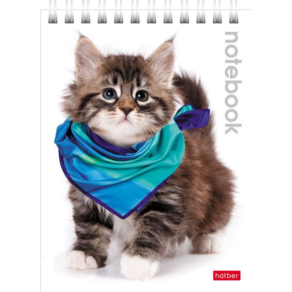 Блокнот на гребне А6, 40 л., клетка, 65 г/м², уф-лак, Hatber Милые котята_6 дизайнов Блокнот на гребне А6, 40 л., клетка, 65 г/м², уф-лак, Hatber Милые котята_6 дизайнов