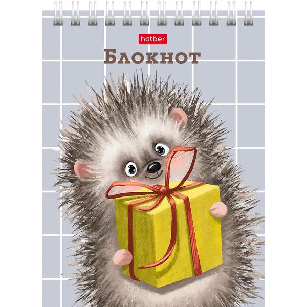 Блокнот на гребне А6, 40 л., клетка, 65 г/м², уф-лак, Hatber Хорошо быть ежиком_6 дизайнов Блокнот на гребне А6, 40 л., клетка, 65 г/м², уф-лак, Hatber Хорошо быть ежиком_6 дизайнов