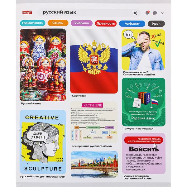 Тетрадь предметная А5, 48 л., линия, 60 г/м², мел. облож., Profit Личный профиль_Русский язык