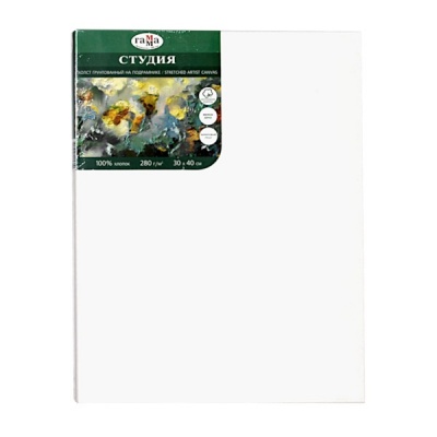 Холст на подрамнике грунтованный, 30*40 см, 100% хлопок, м/зерно, 280 г/м², ГАММА Студия Акция!