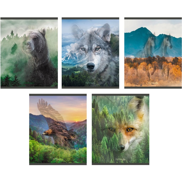 Тетрадь 96 л., линия, 60 г/м2, обл. мел. картон, лам. глянцевая, Listoff Wild life_5 дизайнов Тетрадь 96 л., линия, 60 г/м2, обл. мел. картон, лам. глянцевая, Listoff Wild life_5 дизайнов