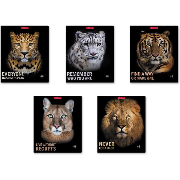 Тетрадь А5, клетка, 48 л., на скобе, 60 г/м², мат. лам., ErichKrause Strong and Brave_5 дизайнов