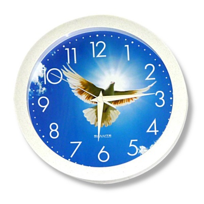 Часы настенные Салют "Природа. Голубь", круглые, 282*40 мм, корпус пластик., белый