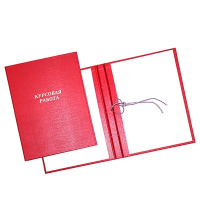 Папка "Курсовая работа", А4, на шнуровке, бумвинил, красная Канцбург (без листов)