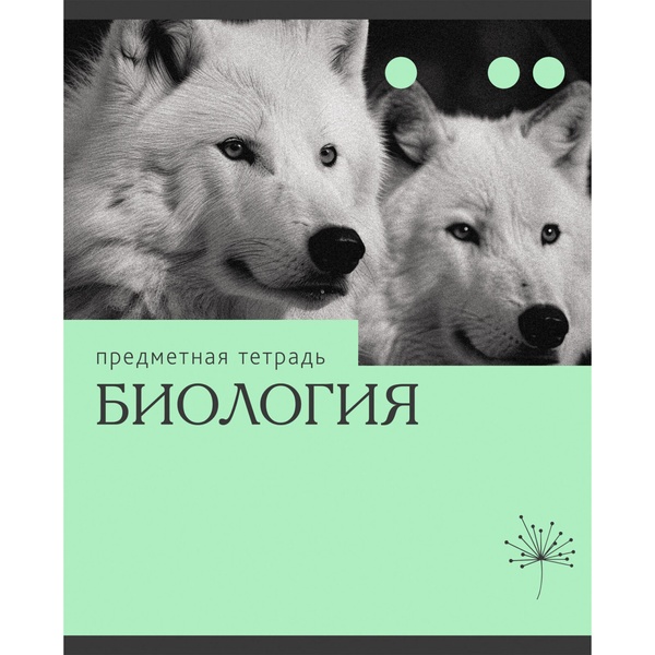 Тетрадь предметная 36 л., клетка, 60 г/м², обл. мел. картон, Listoff Эрудиция_Биология