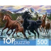  500 . TOPpuzzle_   , 340*481 