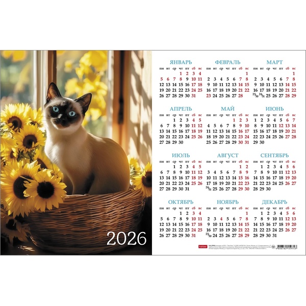 Календарь настенный листовой 2026 г. 435*290 мм. Любимый котик Календарь настенный листовой 2026 г. 435*290 мм. Любимый котик