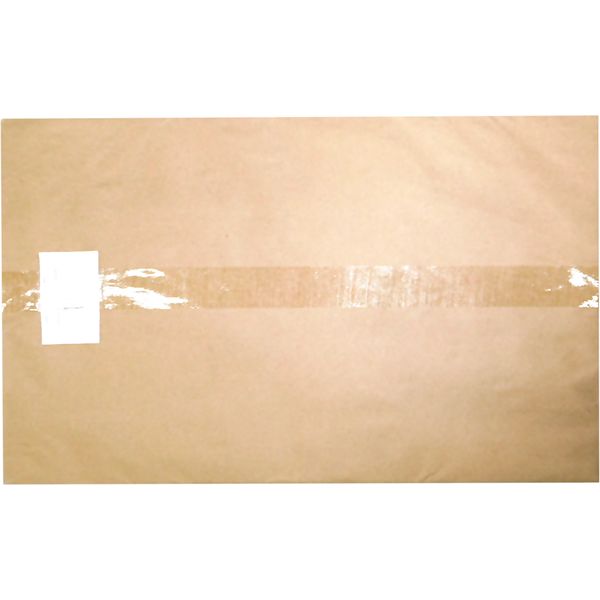 Бумага чертежная (ватман) А2, 50 л., 180 г/м², БЛАНКИЗДАТ