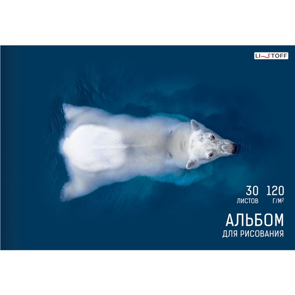 Альбом для рисования А4, 30 л., КБС, 120 г/м², обл. мел. карт., твин-лак, Listoff Белый медведь