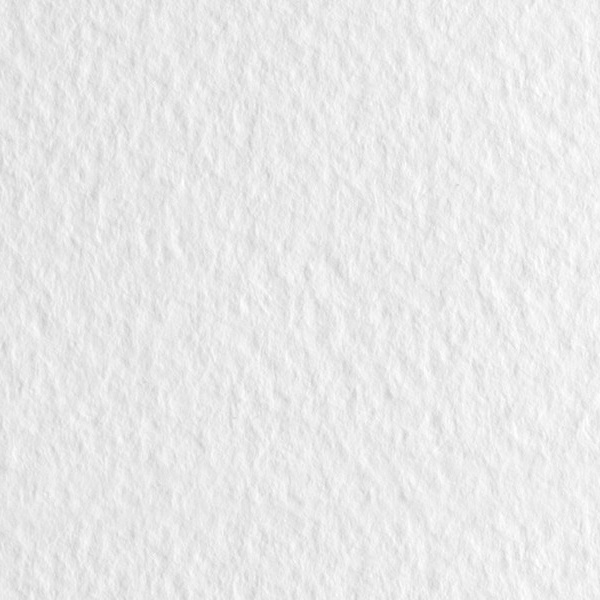 Бумага для пастели 50*65 см (1 л.), 160 г/м², цв.: Bianco/Белый, FABRIANO Tiziano