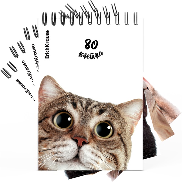 Блокнот на гребне А6, 60 л., клетка, 60 г/м², вд-лак, жест. подложка, ErichKrause Котики_4 дизайна Блокнот на гребне А6, 60 л., клетка, 60 г/м², вд-лак, жест. подложка, ErichKrause Котики_4 дизайна