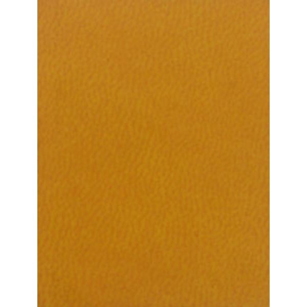 Ежедневник недатированный, А5, 128 л., 60 г/м2, тв. перепл., и/к, поролон, Profit Глосс_апельсиновый   Акция