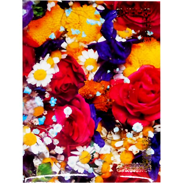 Папка адресная поздравительная /Без темы/, глянц. лам., тисн. ф. (Розы)