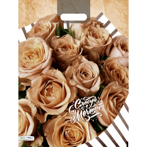 Пакет с вырубной ручкой, 47*38 см, полиэтилен 60 мкм, Следуй за мечтой!