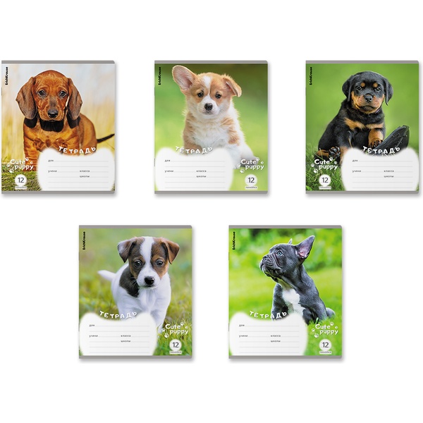 Тетрадь А5, линия, 12 л., на скобе, 60 г/м², ErichKrause Щенки_MIX-PACK