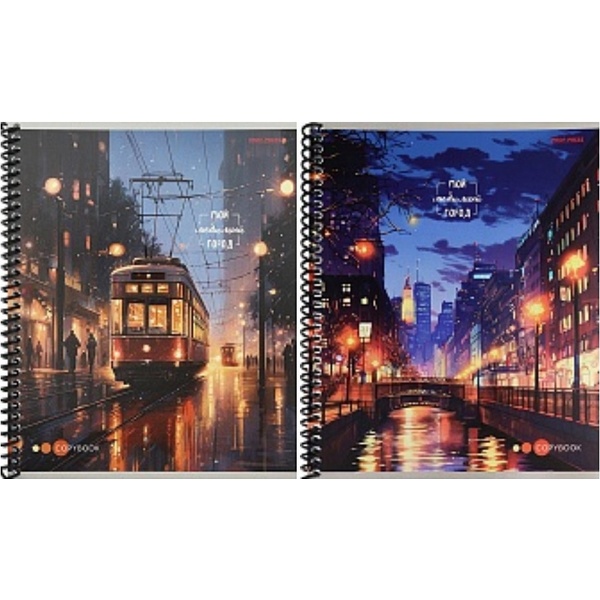 Тетрадь А5, клетка, 48 л., на пружине, 60 г/м², твин лак, Prof-Press Мой любимый город_2 дизайна