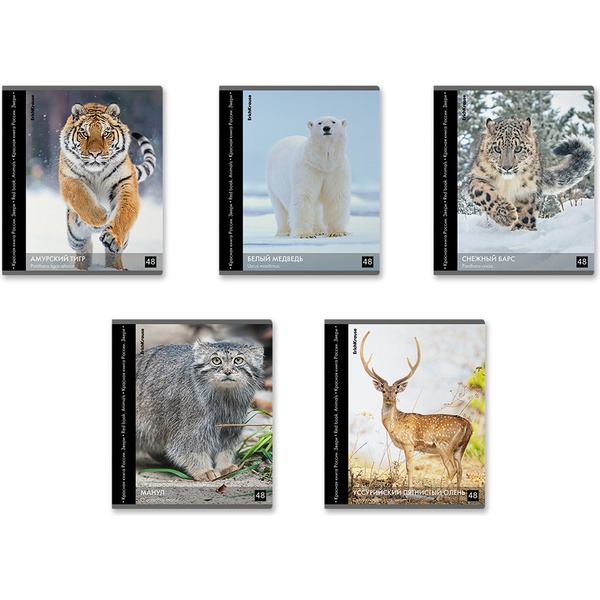 Тетрадь А5, клетка, 48 л., на скобе, 60 г/м², глянц. лам., ErichKrause Энциклопедия_Красная книга России_Звери_MIX-PACK