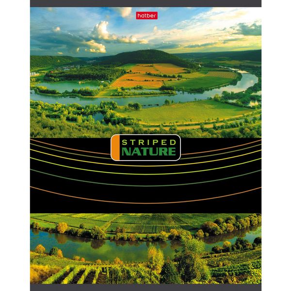 Тетрадь 96 л., линия, 60 г/м2, обл. мел. картон, Hatber Полосатый мир_5 дизайнов