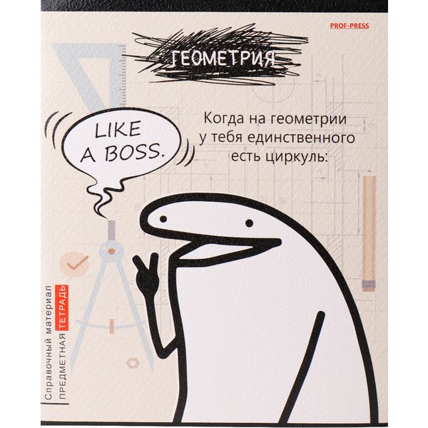 Тетрадь предметная 48 л., клетка, 60 г/м², мел. картон, тисн."холст", Prof-Press Школьные мемасики_Геометрия Тетрадь предметная 48 л., клетка, 60 г/м², мел. картон, тисн."холст", Prof-Press Школьные мемасики_Геометрия