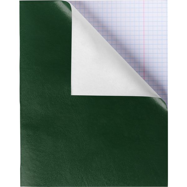 Тетрадь А5, 48 л., клетка, 60 г/м² (типографская), на скобе, обл. бумвинил, тисн. "кожа", Hatber_зеленая