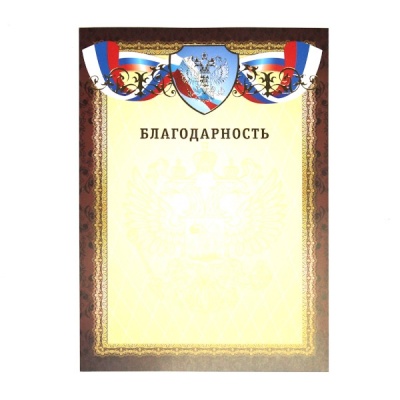 Благодарность, с госсимволикой, А4, 200 г/м2, цв. мел. бумага, тисн. фольгой. Премиум