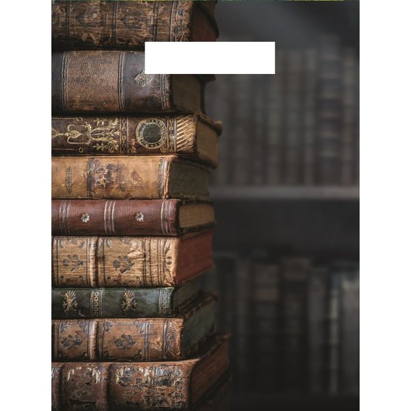 Пакет с вырубной ручкой, 48*37 см, полиэтилен 50 мкм, Библиотека Пакет с вырубной ручкой, 48*37 см, полиэтилен 50 мкм, Библиотека