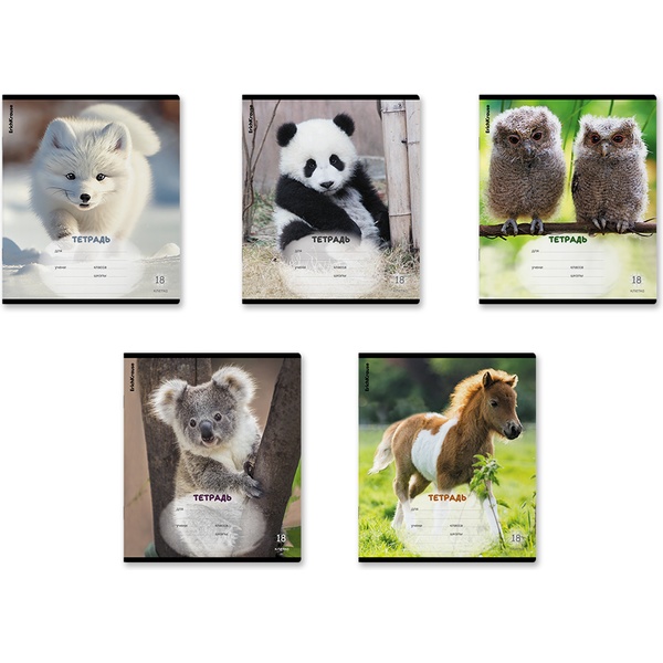 Тетрадь А5, клетка, 18 л., на скобе, 60 г/м², ErichKrause Пушистики_MIX-PACK