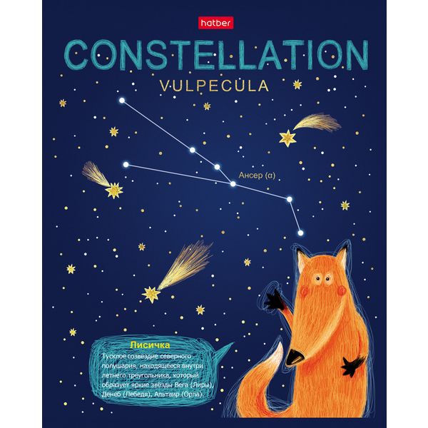 Тетрадь А5, клетка, 48 л., на скобе, 60 г/м², мат. лам., 3D фольга, 3D лак, Hatber Приходи считать звезды(акционный товар)