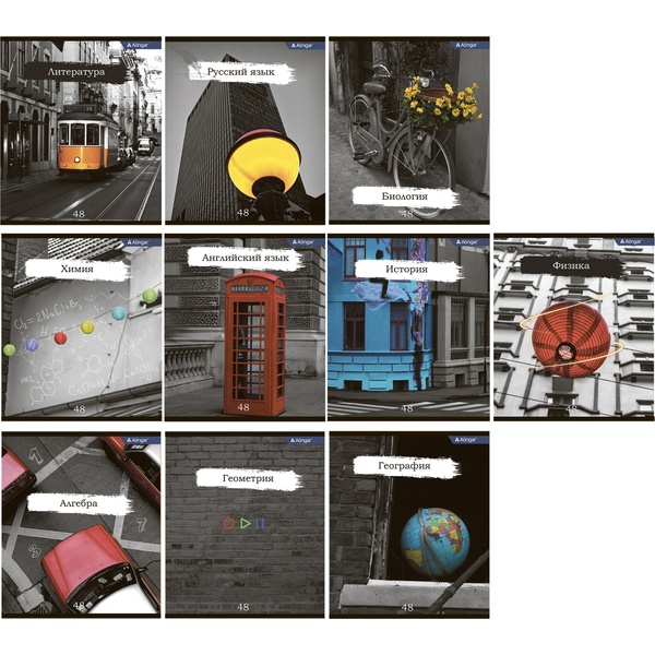 Тетрадь предметная КОМПЛЕКТ 10 шт. по 48 л., клетка/линия, 60 г/м2, Alingar Город контрастов
