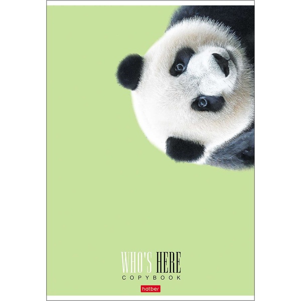 Тетрадь А4, клетка, 96 л., на скобе, 60 г/м², мат. лам., Hatber Кто здесь?_3 дизайна