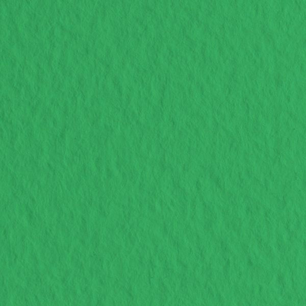 Бумага для пастели 50*65 см (1 л.), 160 г/м², цв.: Prato/Травяной, FABRIANO Tiziano