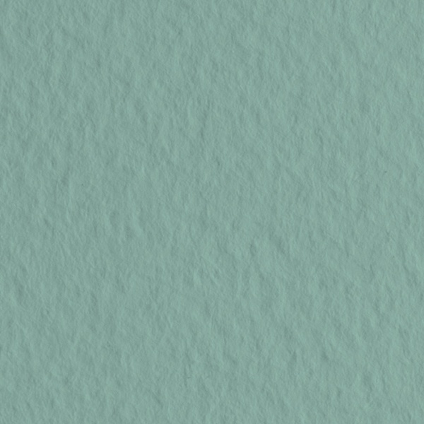 Бумага для пастели 50*65 см (1 л.), 160 г/м², цв.: Salvia/Темно-шалфейный, FABRIANO Tiziano