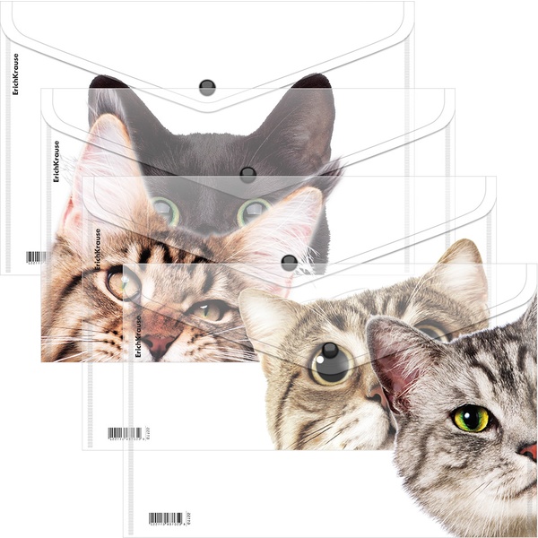 Папка-конверт на кнопке, А4, PP 160 мкм, прозрачная, ErichKrause Hiding Cats_4 дизайна
