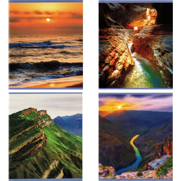 Тетрадь А5, клетка, 48 л., на скобе, 60 г/м², Alingar Nature_4 дизайна