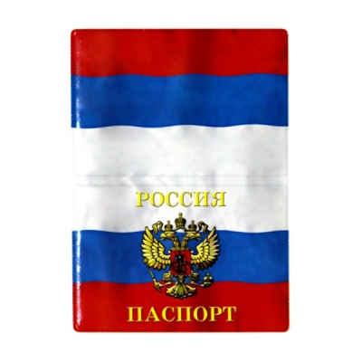 Обложка для паспорта DPSkanc Триколор: ПВХ