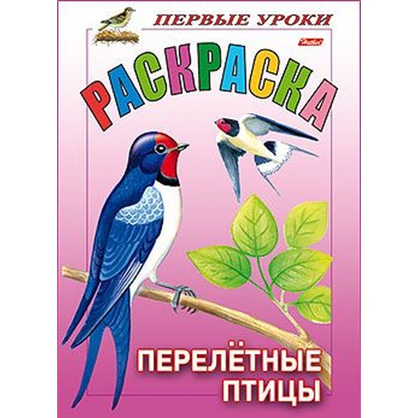 Раскраска Посмотри и раскрась. Первые уроки_Перелетные птицы, А5, 8 л., цв. блок, Hatber