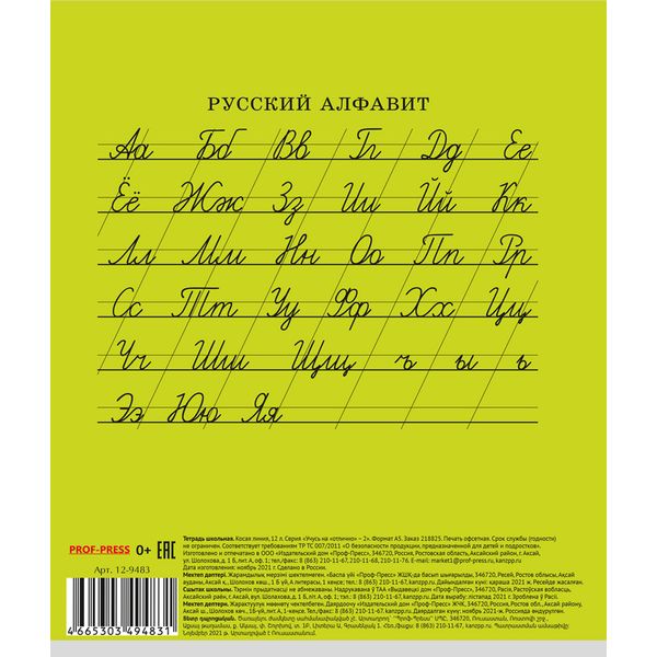 Тетрадь А5, косая линия, 12 л., на скобе, 60 г/м², мел. обл., Prof-Press Учусь на отлично-2_5 дизайнов Акция!