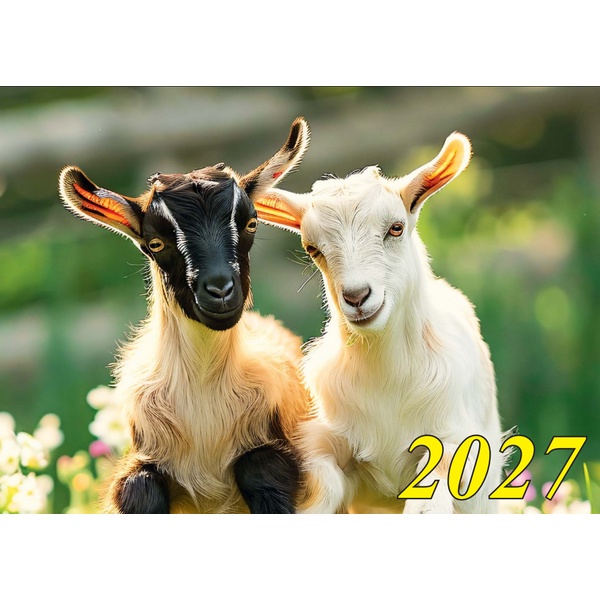 Календарь настенный листовой 2027 г. Символ года, А3