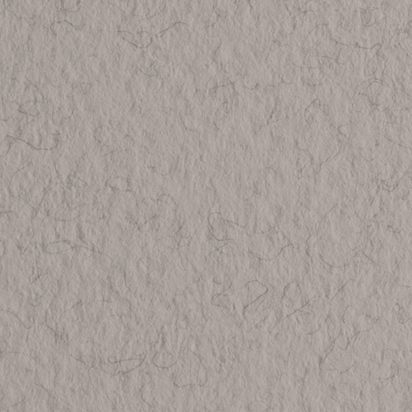 Бумага для пастели 50*65 см (1 л.), 160 г/м2, цвет: China/Серый теплый, FABRIANO Tiziano